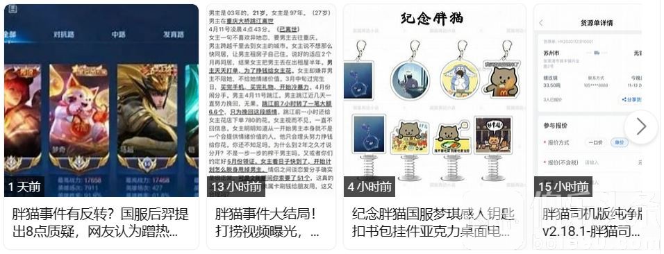 胖猫.JPG 胖猫.JPG