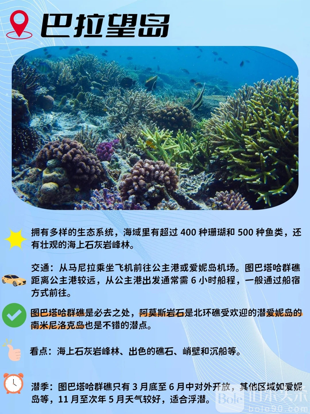 推荐五个超绝浮潜点！你都去过哪个？_6_蓝色巴拉望_来自小红书网页版.jpg