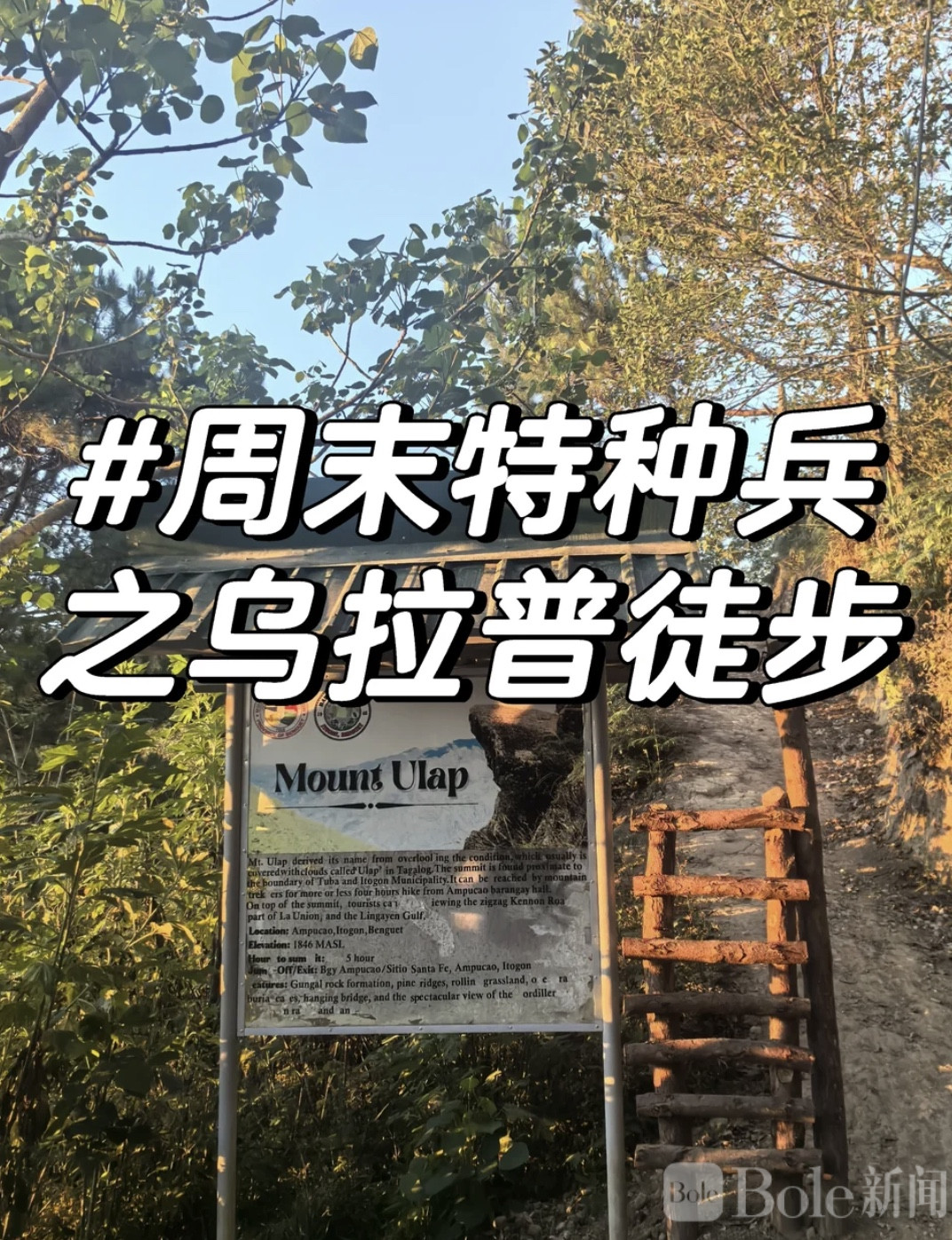 图像2026-6-15 13.24.jpeg