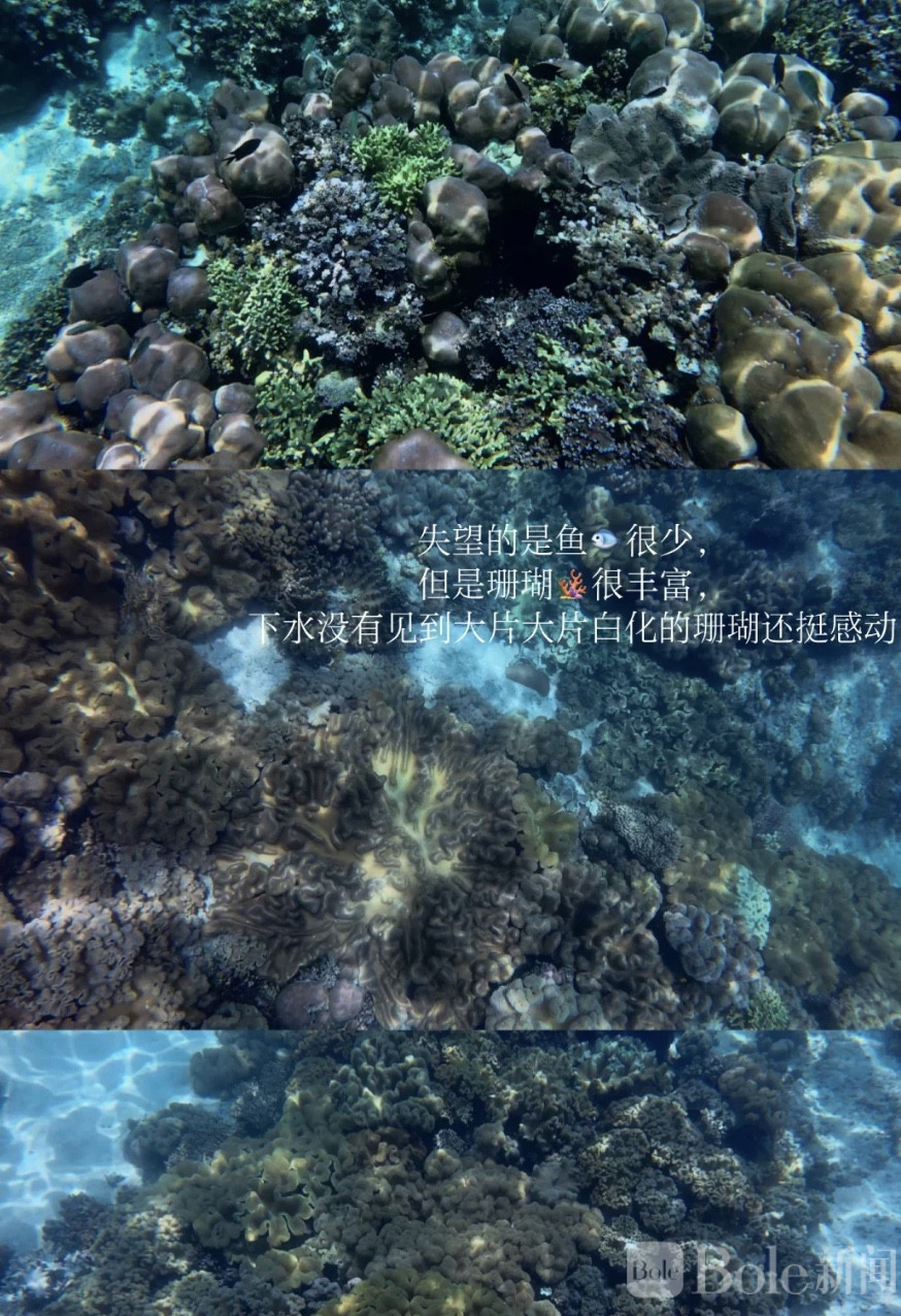 图像2026-6-23 12.27.jpeg